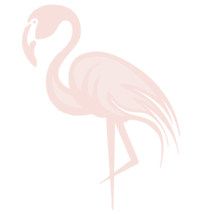 Camargue Antan Sauvage Excursion Safari Visite faune flore