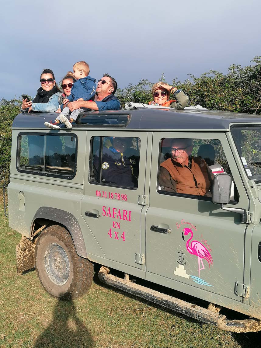 Camargue Antan Sauvage Excursion Safari Visite Nature 4x4