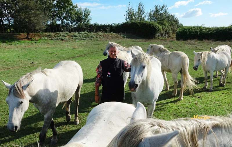 Camargue Antan Sauvage Excursion Safari Visite Nature Hors sentiers battus chevaux