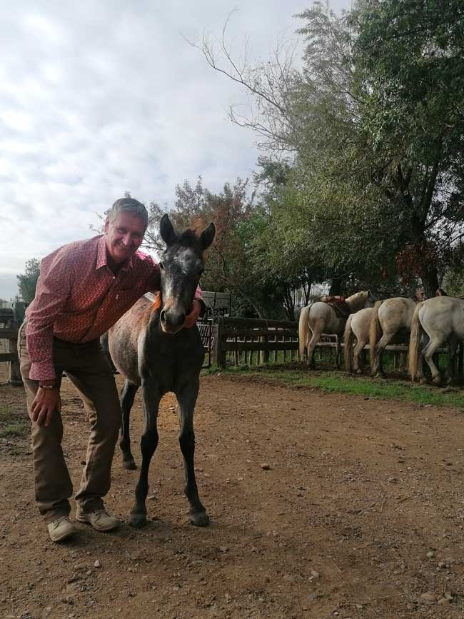Camargue Antan Sauvage Excursion Safari tradition authentique chevaux